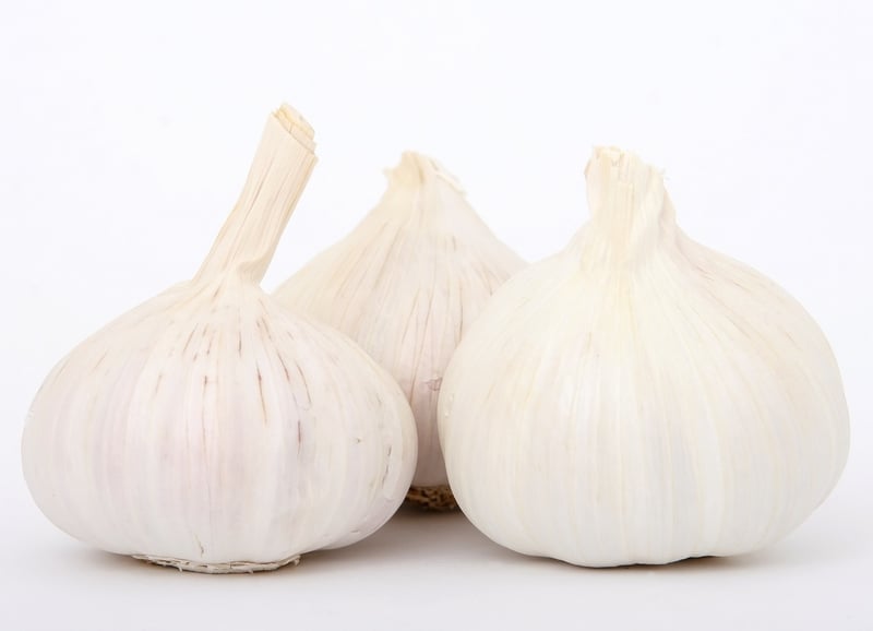 Delicate Flavors